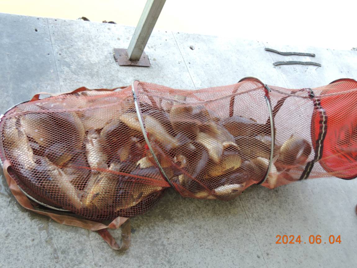 DSCN3783.JPG
