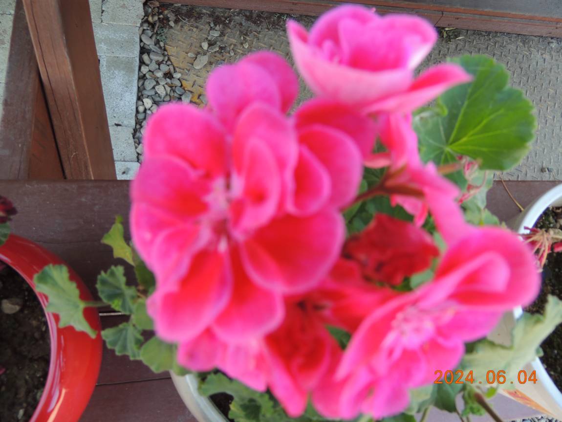 DSCN3789.JPG
