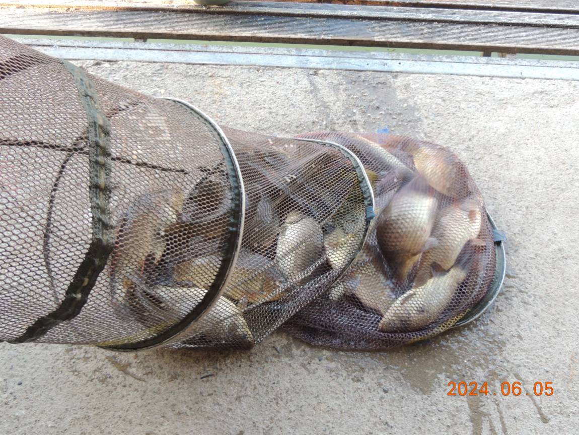 DSCN3790.JPG