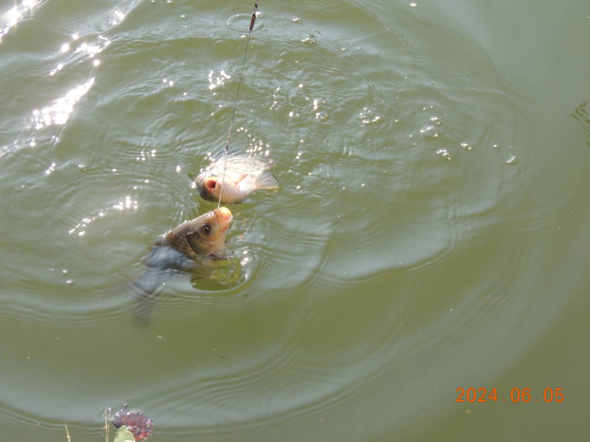DSCN3802.JPG