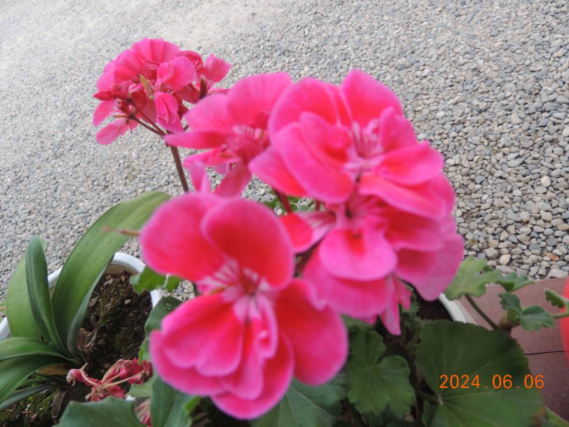 DSCN3817.JPG
