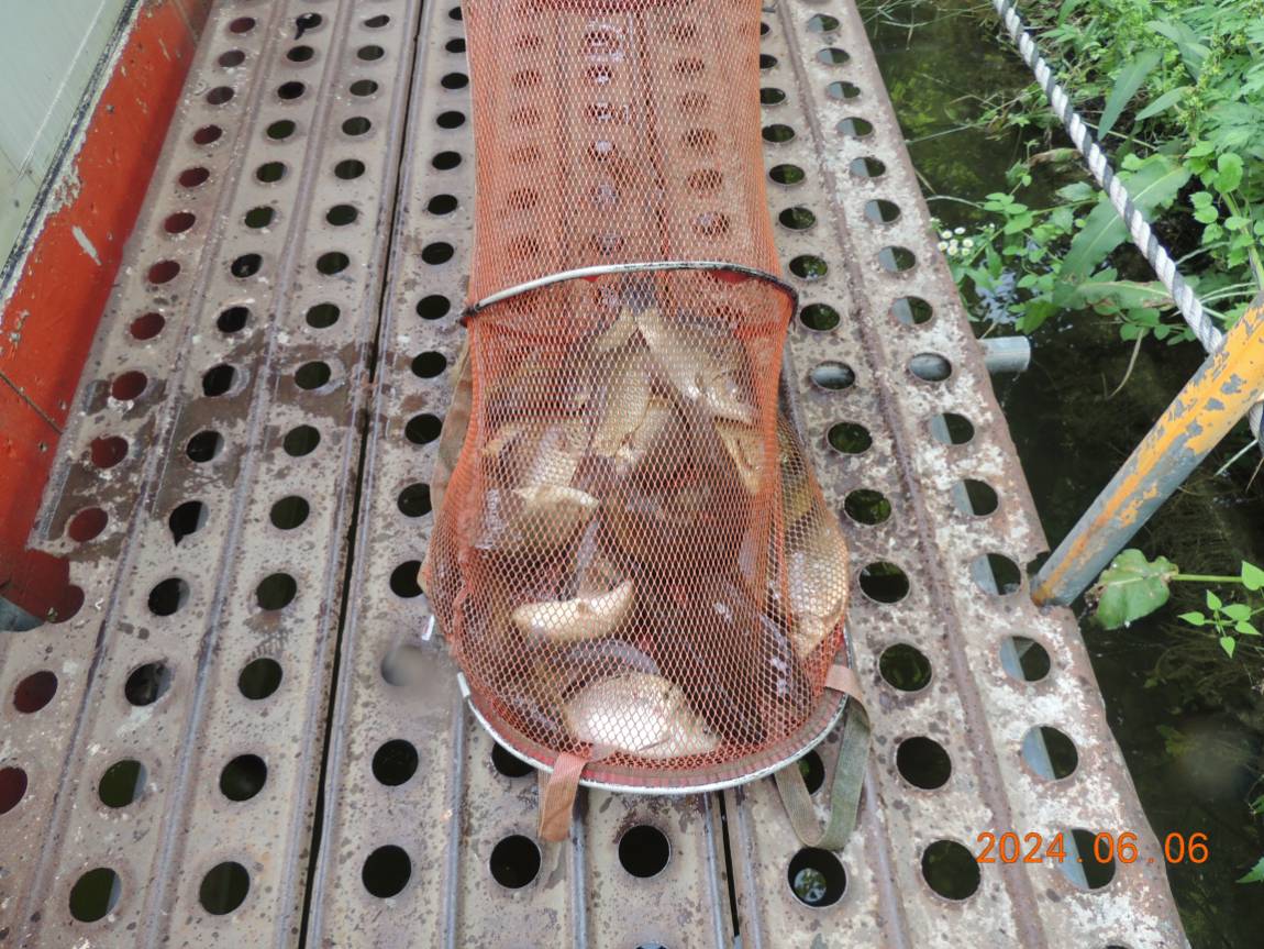 DSCN3846.JPG