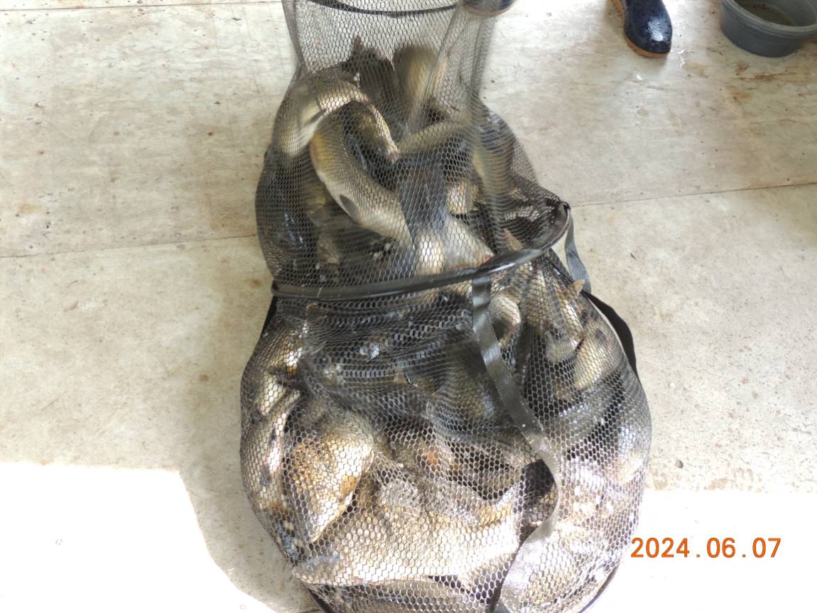 DSCN3895.JPG