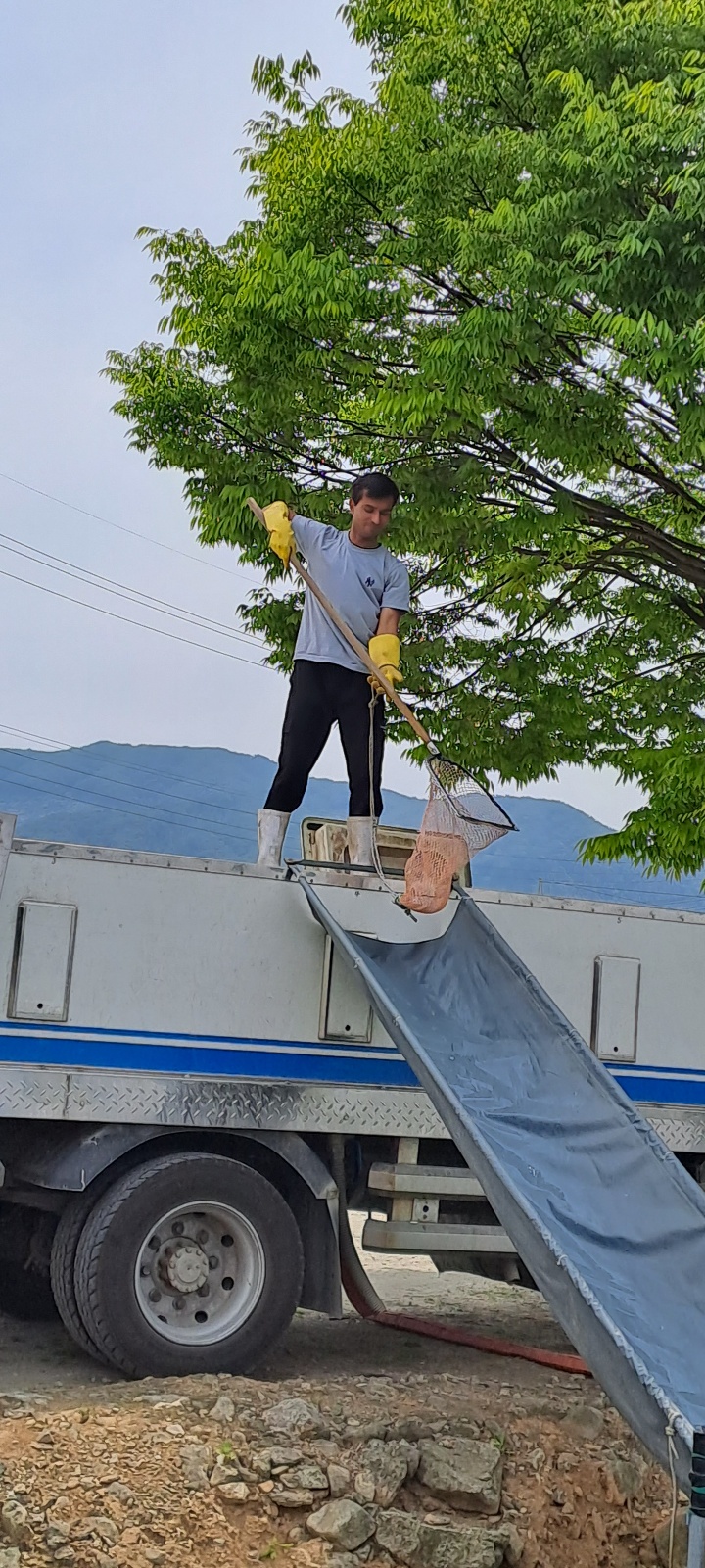 KakaoTalk_20240607_114555447.jpg