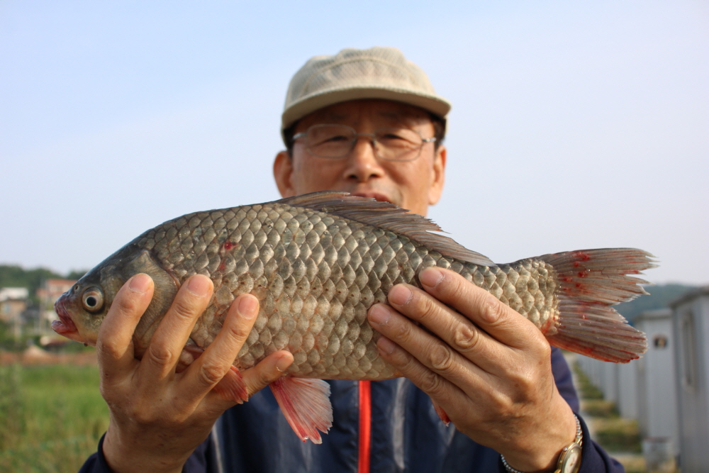 [크기변환]IMG_3451.JPG
