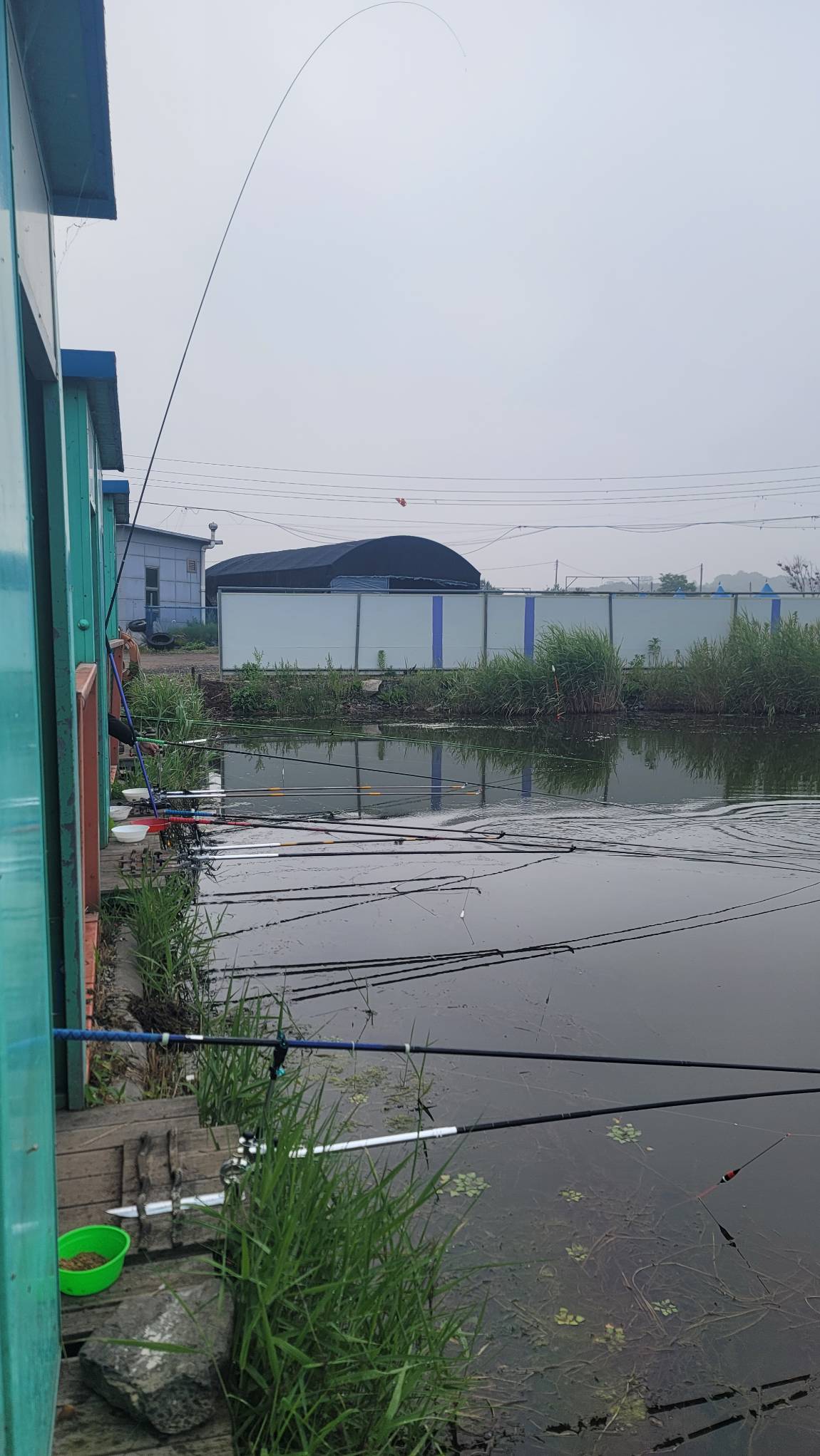 20240609_062229.jpg