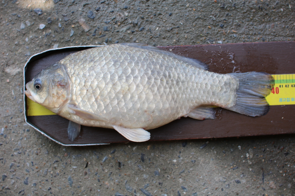 [ũ⺯ȯ]IMG_3535.JPG