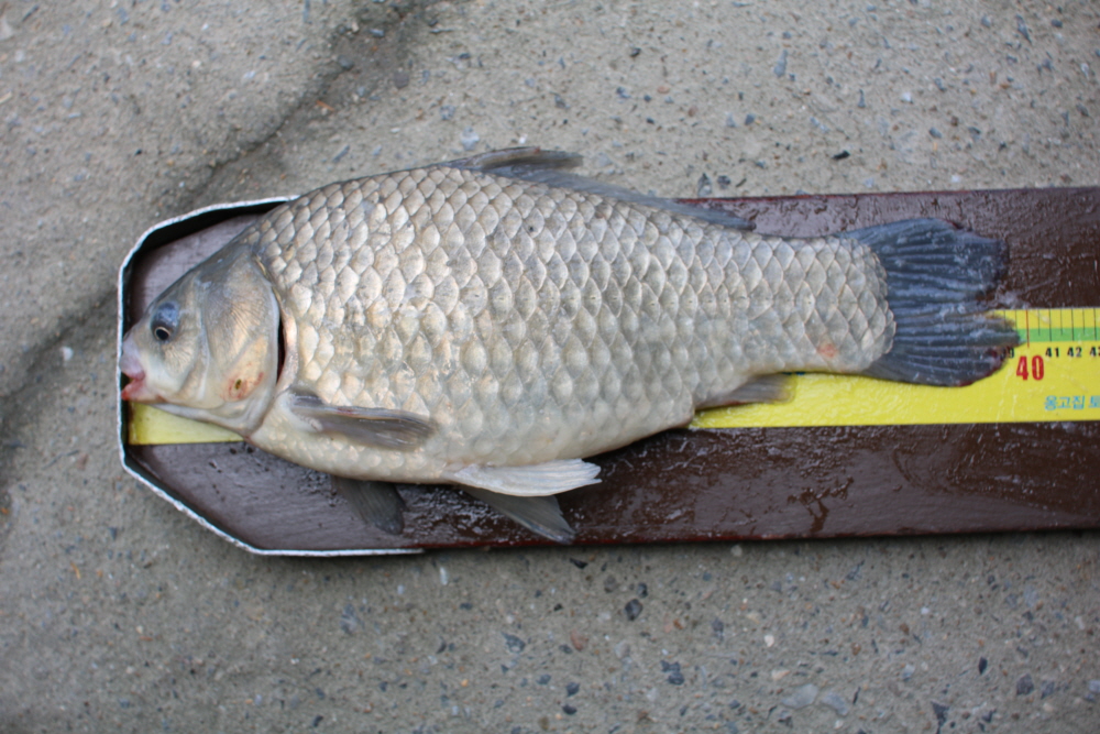 [ũ⺯ȯ]IMG_3525.JPG