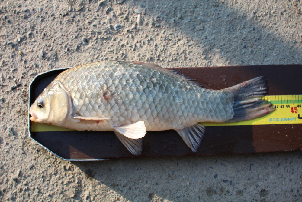 [ũ⺯ȯ]IMG_3547.JPG