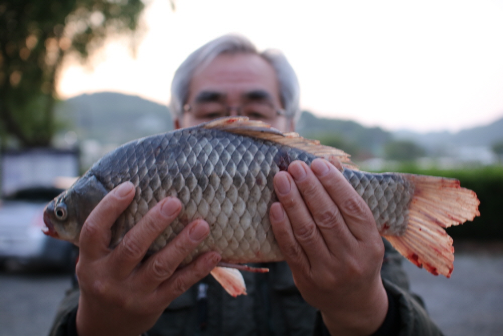 [ũ⺯ȯ]IMG_3585.JPG