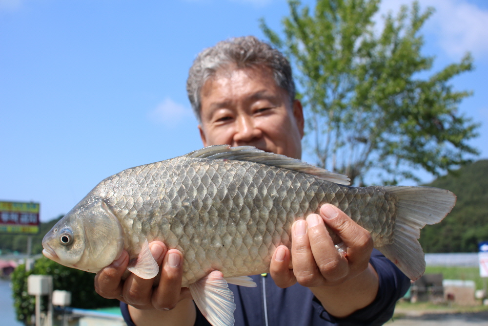 [ũ⺯ȯ]IMG_3541.JPG