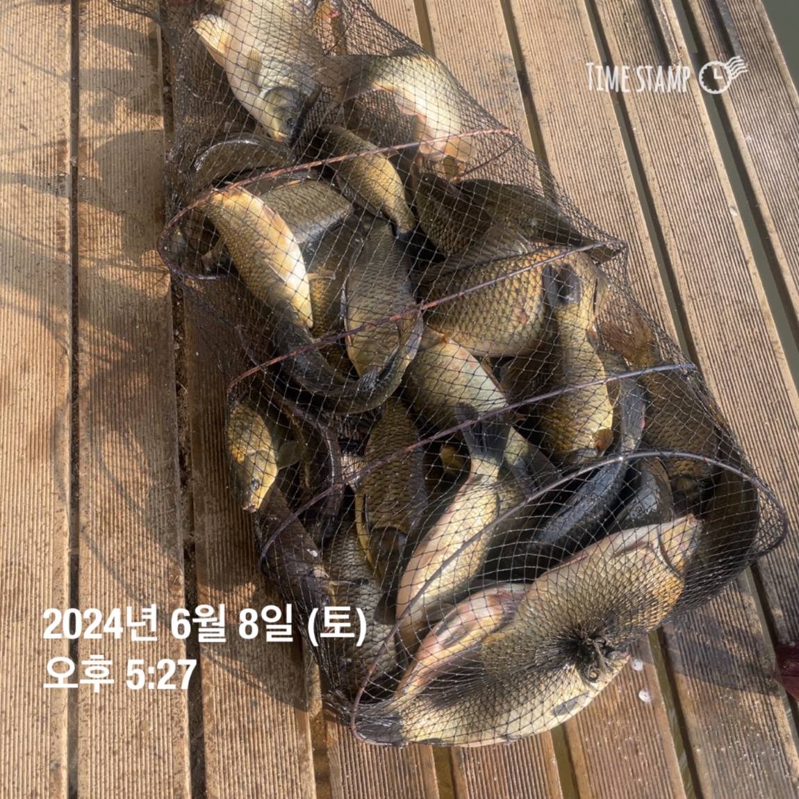 KakaoTalk_20240609_104543556_05.jpg
