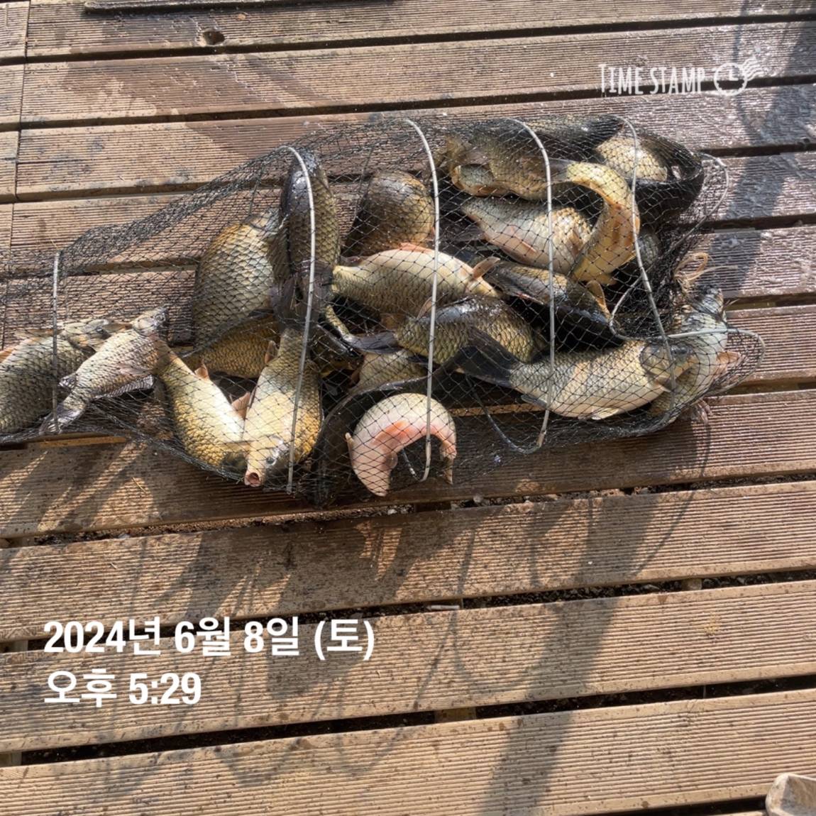 KakaoTalk_20240609_104543556_09.jpg