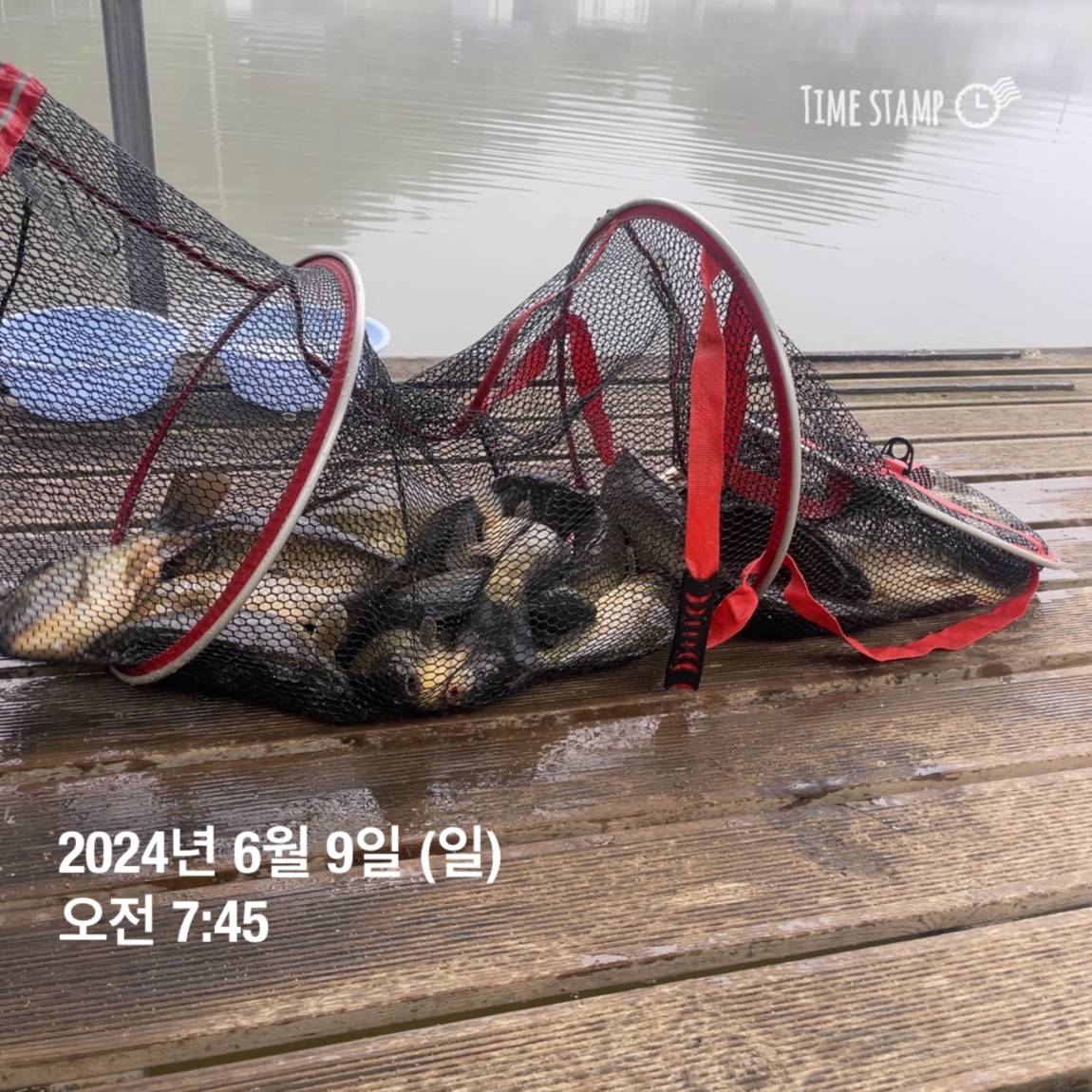 KakaoTalk_20240609_104543556_21.jpg
