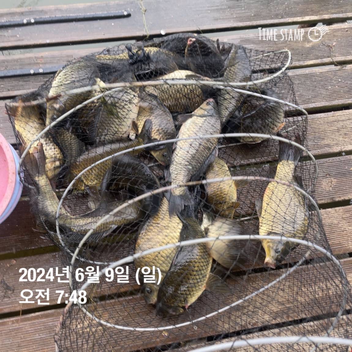KakaoTalk_20240609_104543556_24.jpg