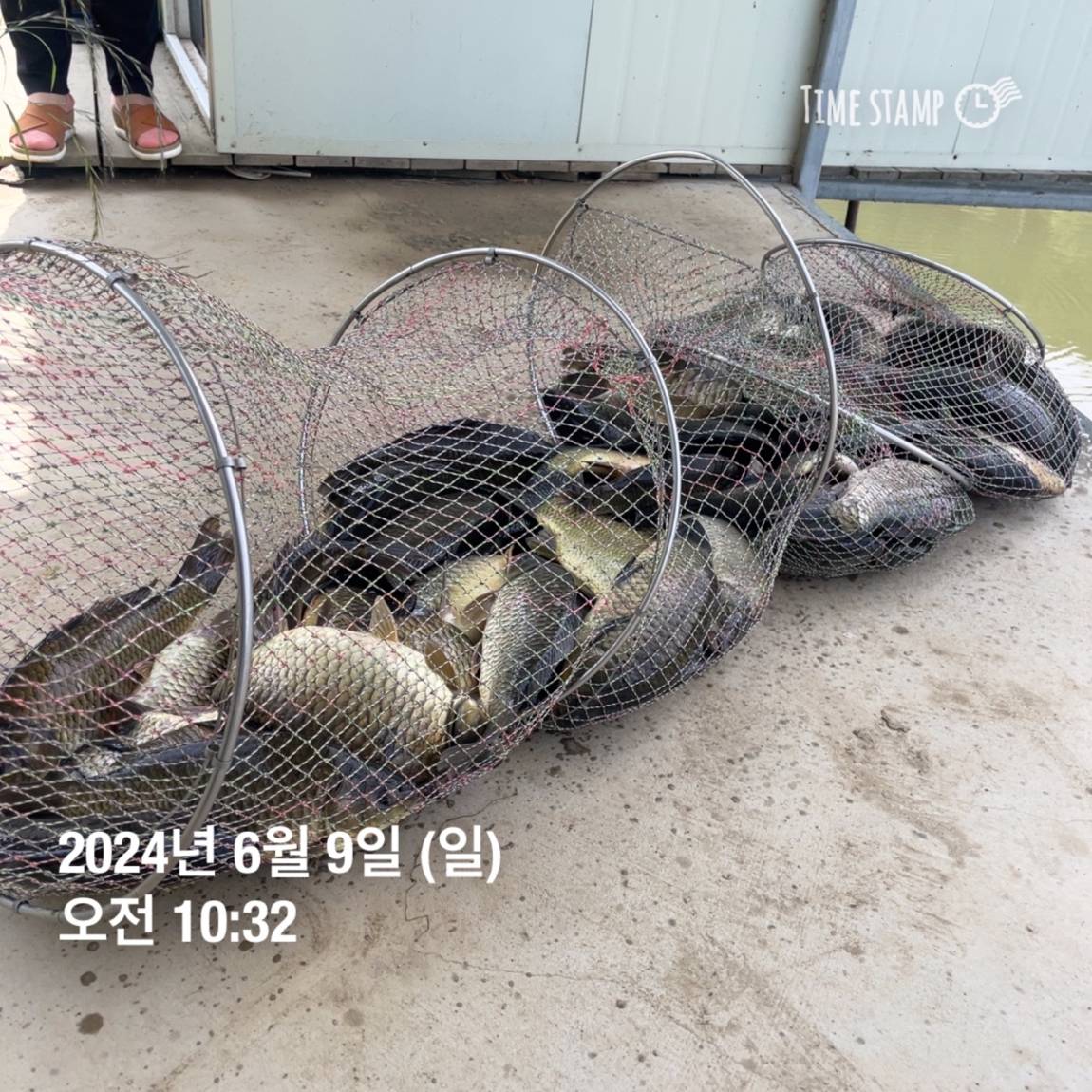 KakaoTalk_20240609_104711373_13.jpg