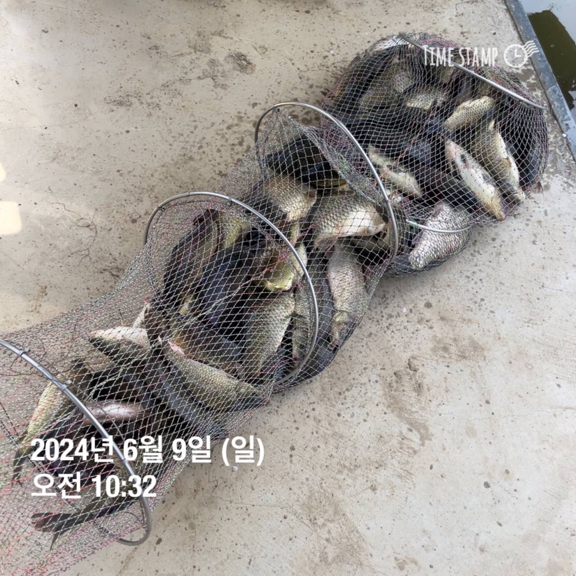 KakaoTalk_20240609_104711373_15.jpg