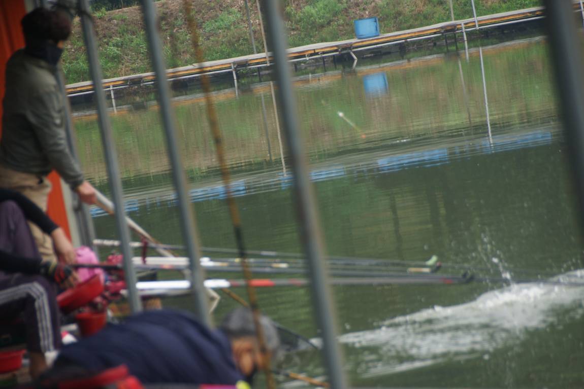 DSC05873.JPG