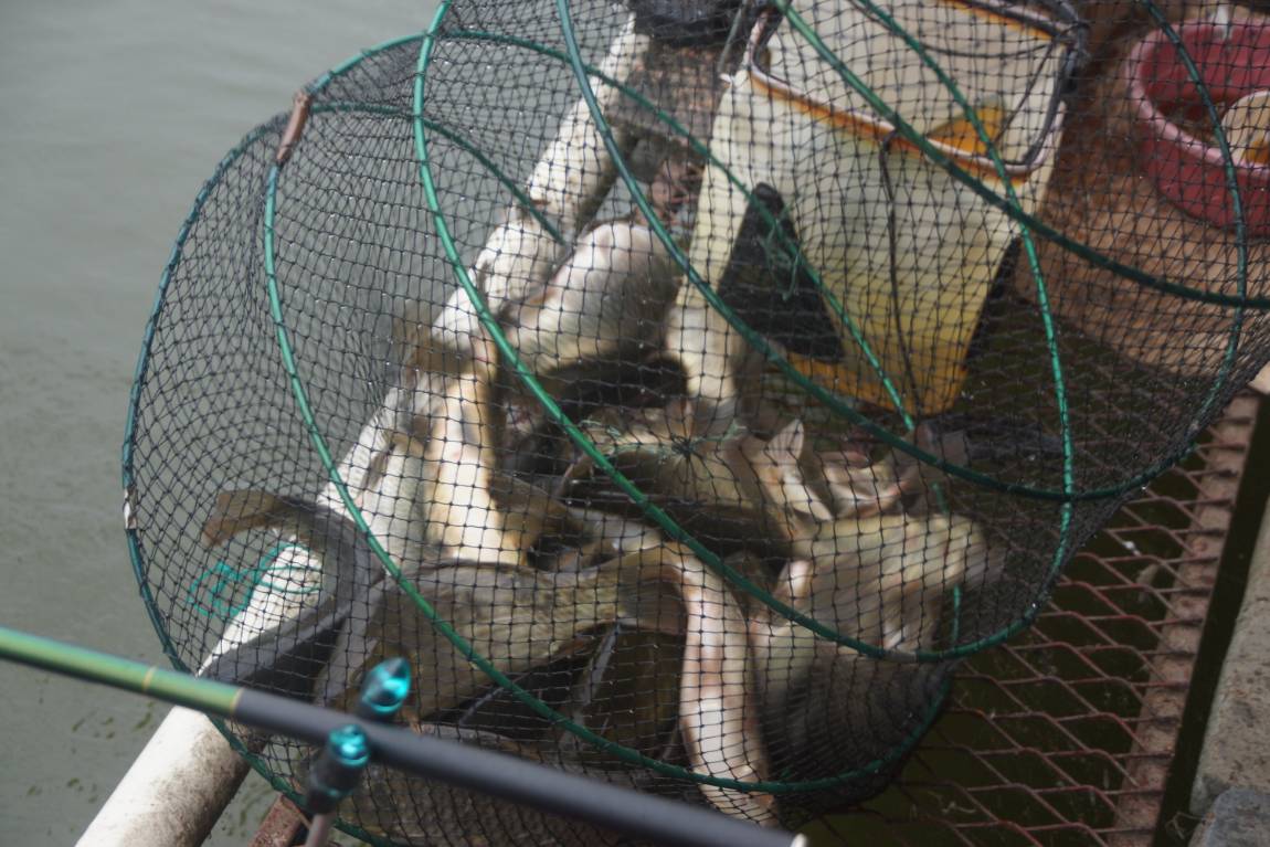 DSC05875.JPG