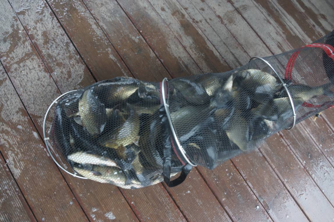 DSC05883.JPG