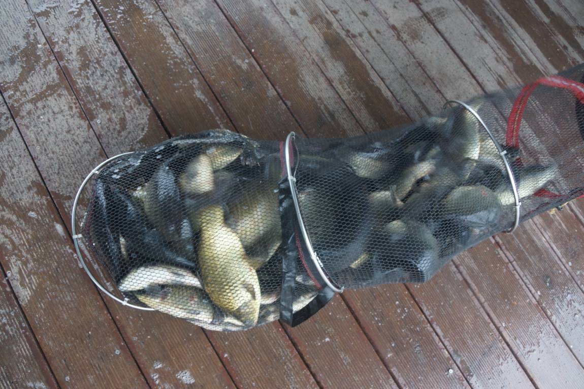 DSC05884.JPG