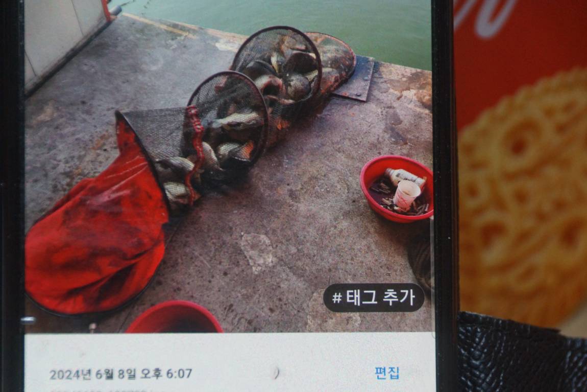 DSC05901.JPG