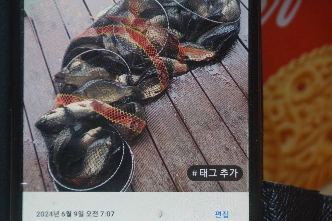 DSC05905.JPG