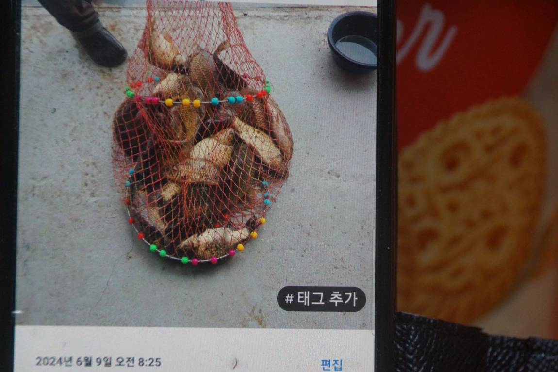 DSC05910.JPG
