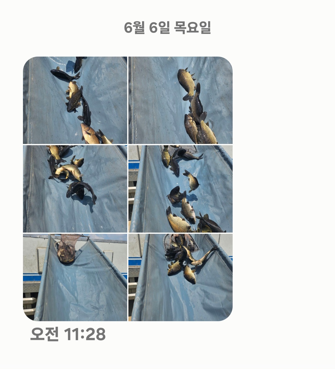 Screenshot_20240606_122056_Messages.jpg