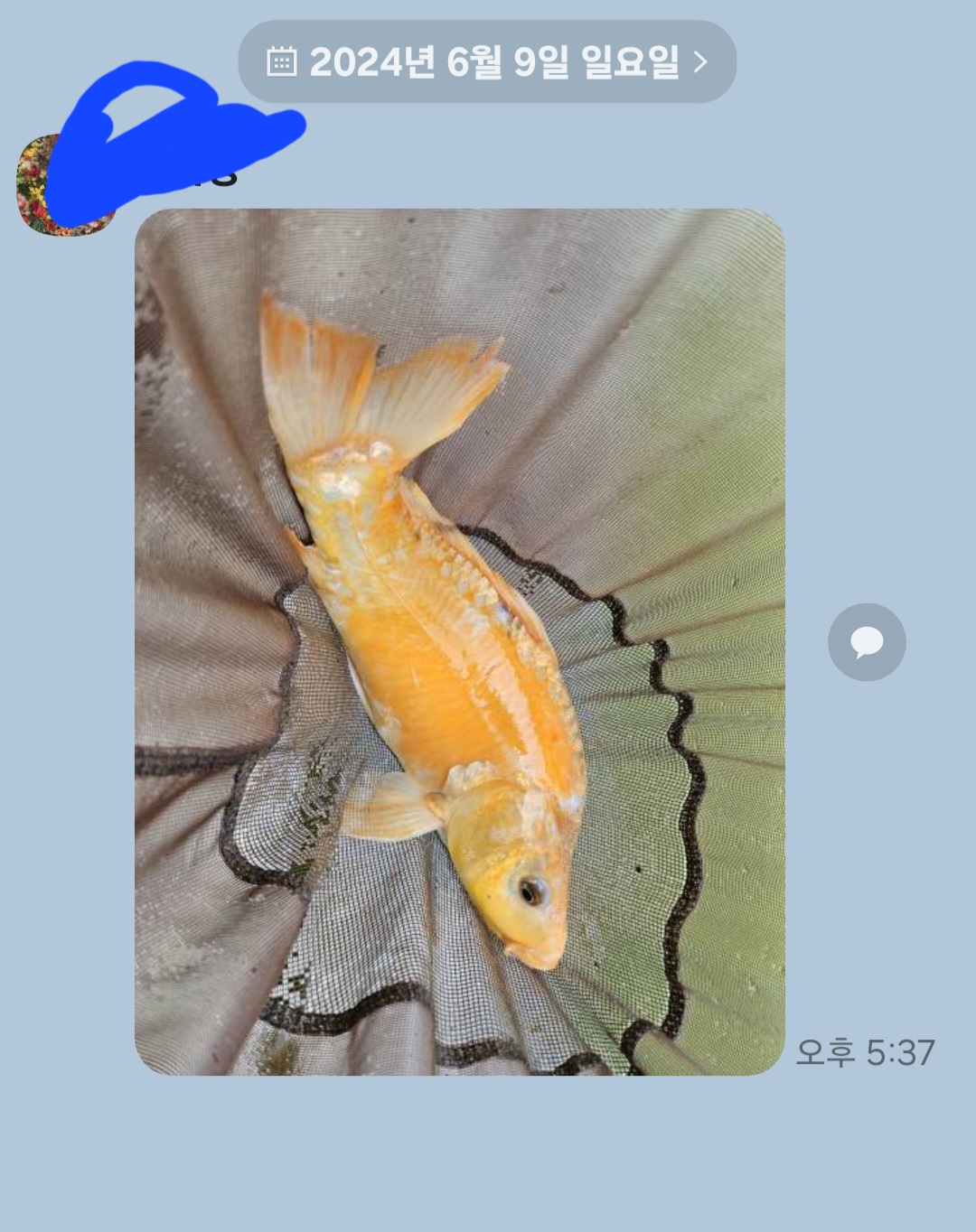 Screenshot_20240609_173846_KakaoTalk.jpg