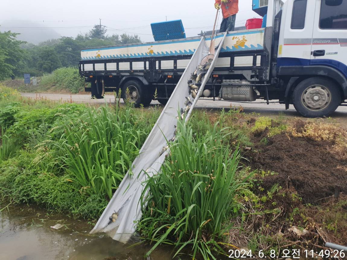 KakaoTalk_20240610_152647713_17.jpg