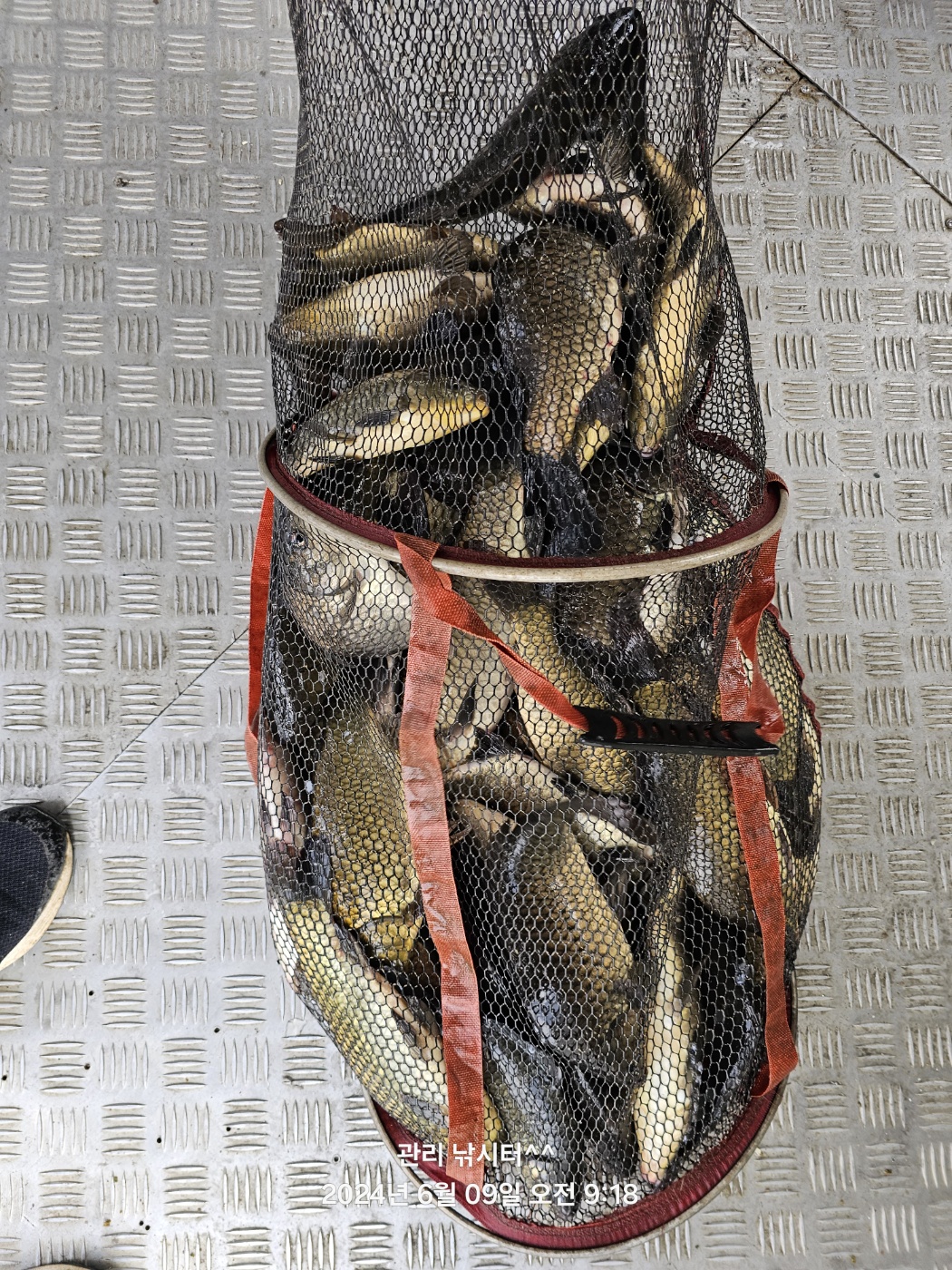 KakaoTalk_20240609_211720667_27.jpg