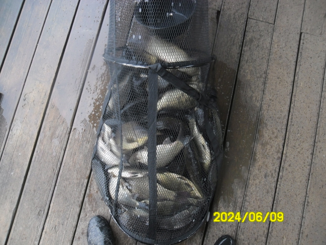 SAM_5617.JPG