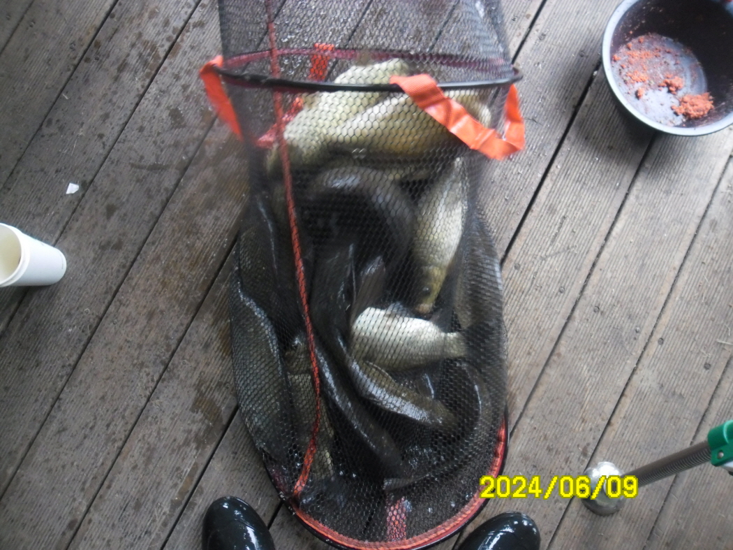 SAM_5629.JPG