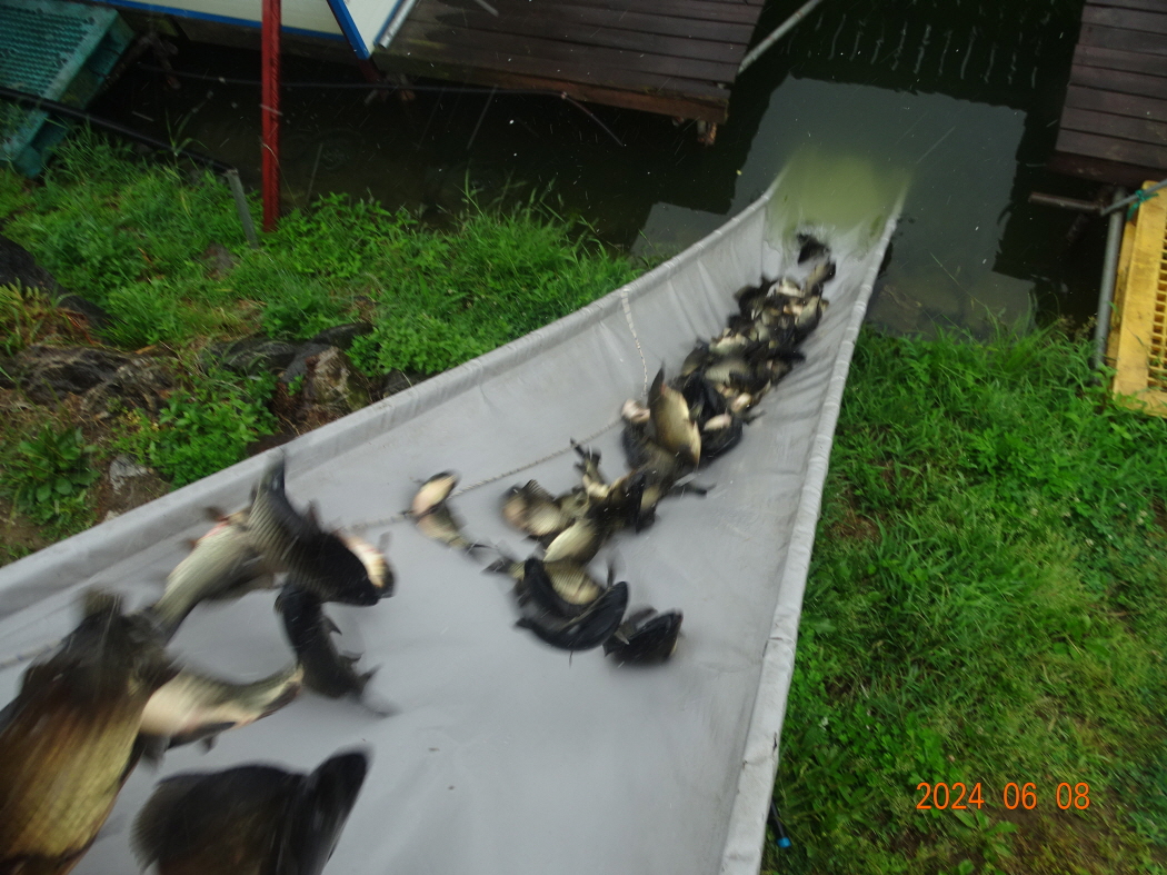 DSC02175.JPG