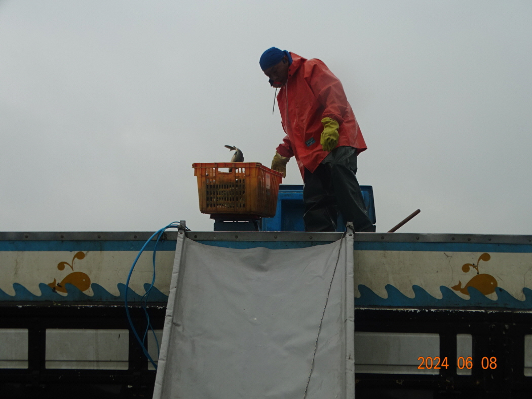 DSC02185.JPG