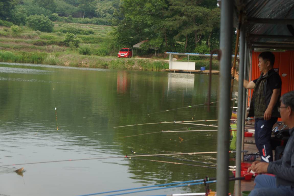 DSC05930.JPG