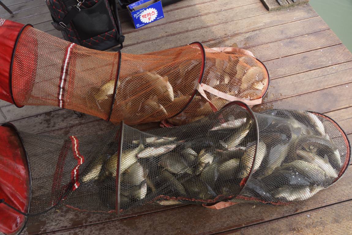 DSC05940.JPG