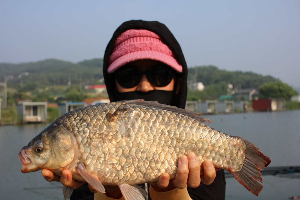 [ũ⺯ȯ]IMG_3699.JPG