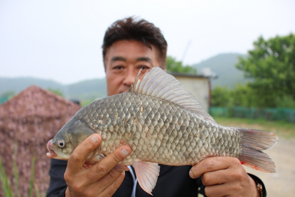 [ũ⺯ȯ]IMG_3735.JPG