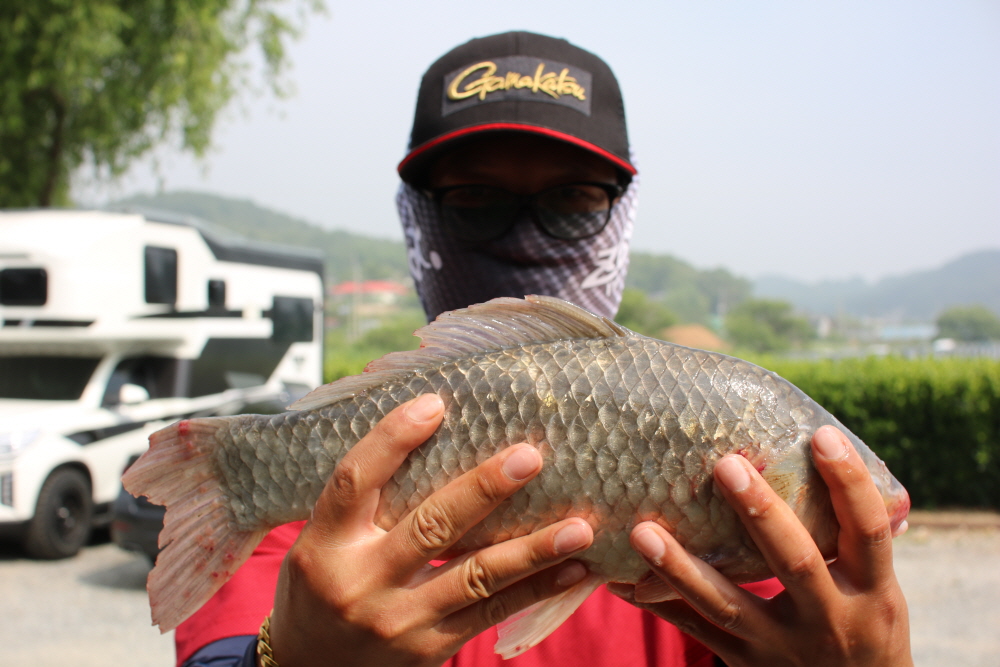 [크기변환]IMG_3745.JPG