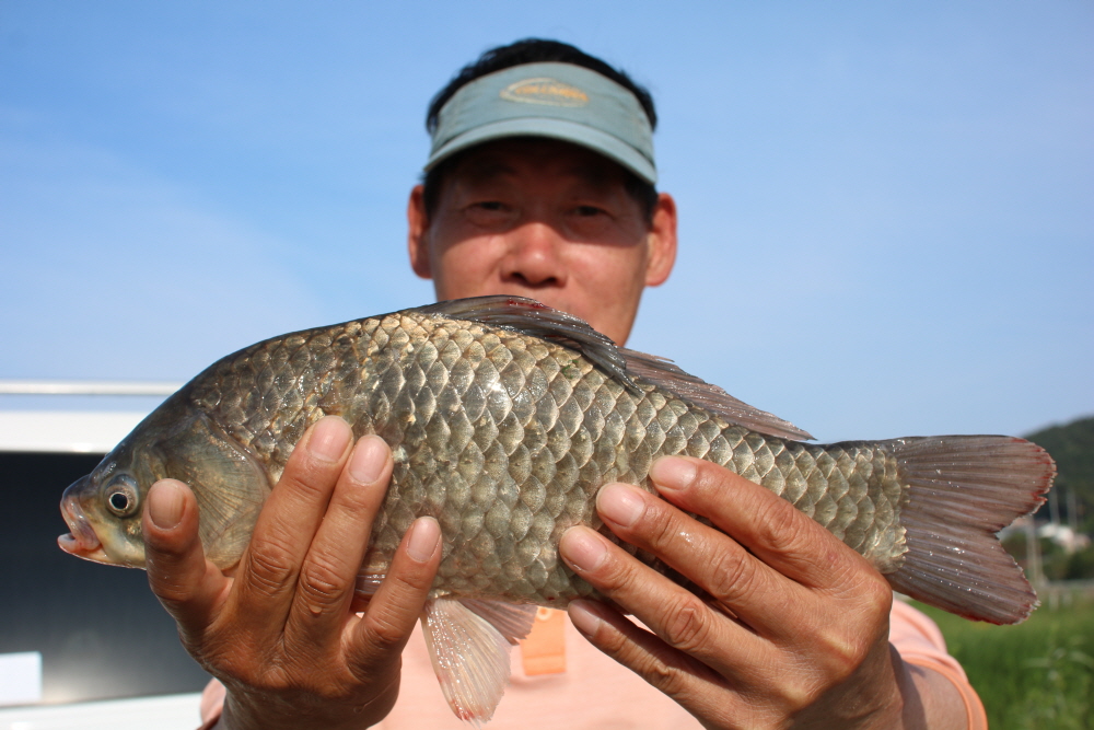 [크기변환]IMG_3754.JPG