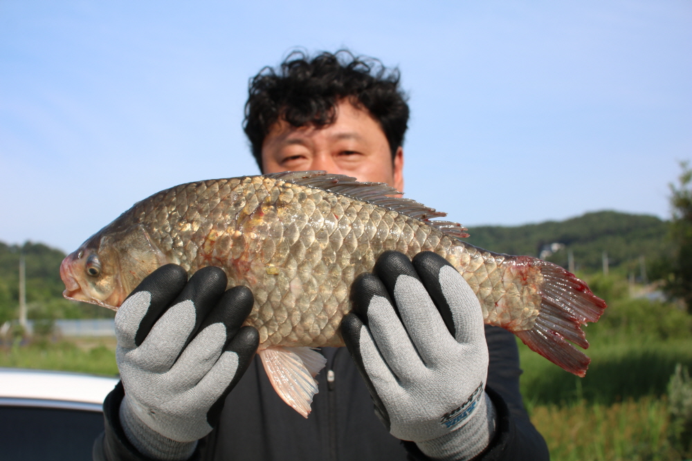 [크기변환]IMG_3760.JPG
