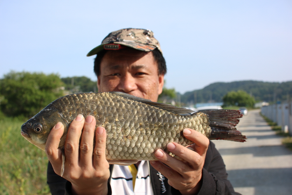 [크기변환]IMG_3765.JPG