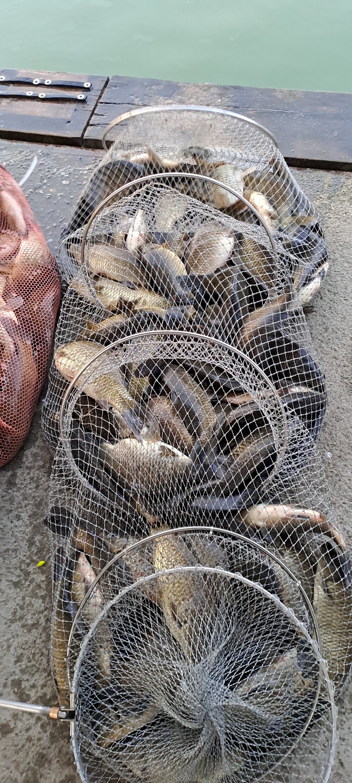 KakaoTalk_20240612_094348985_14.jpg