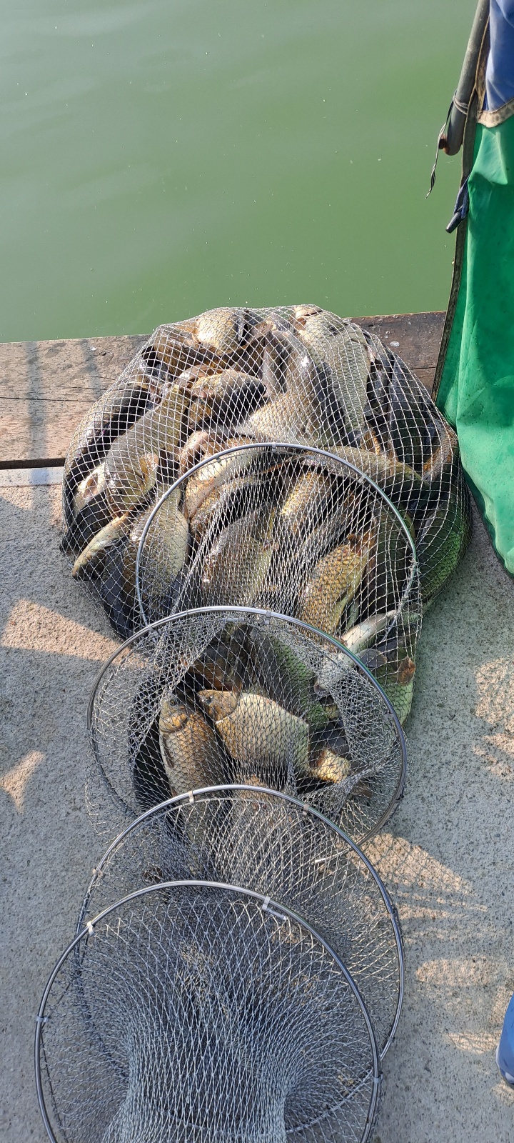 KakaoTalk_20240612_094348985_21.jpg