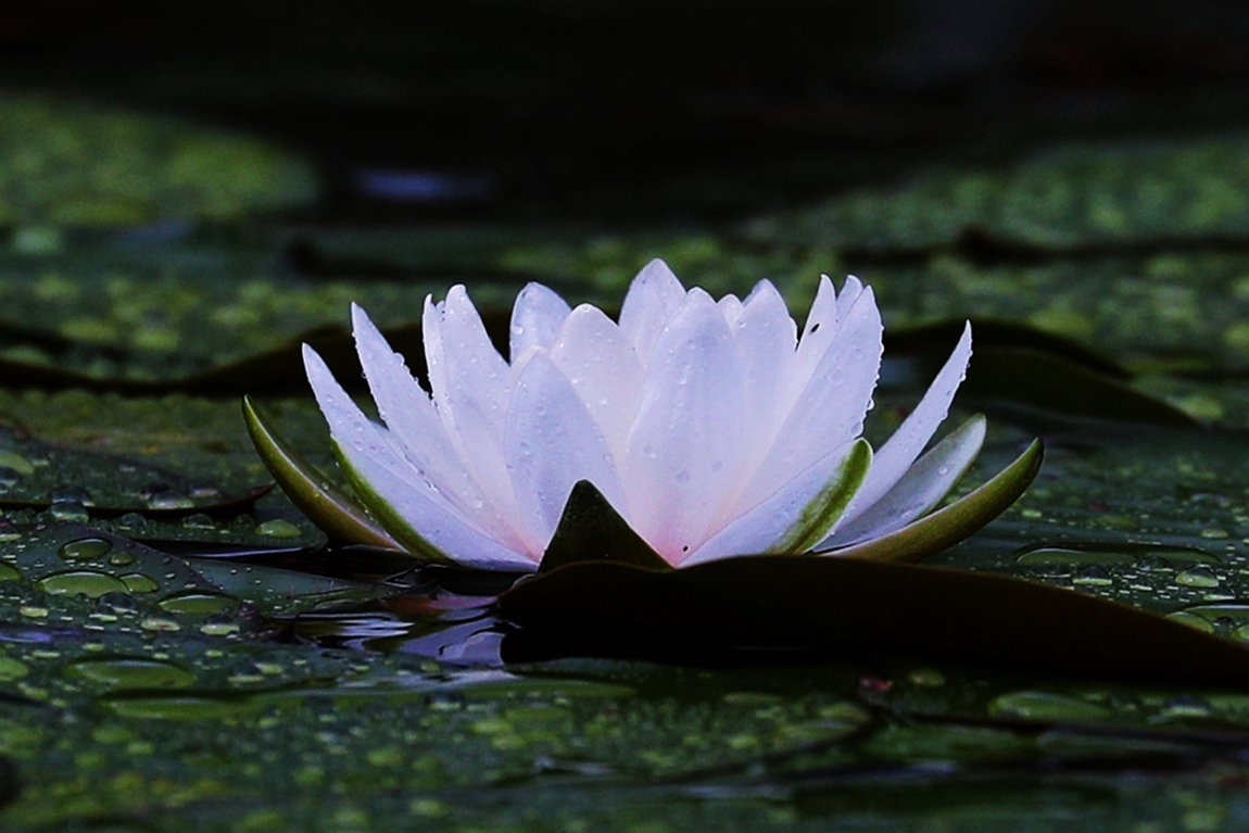 20201020064408_gqqp[1].jpg