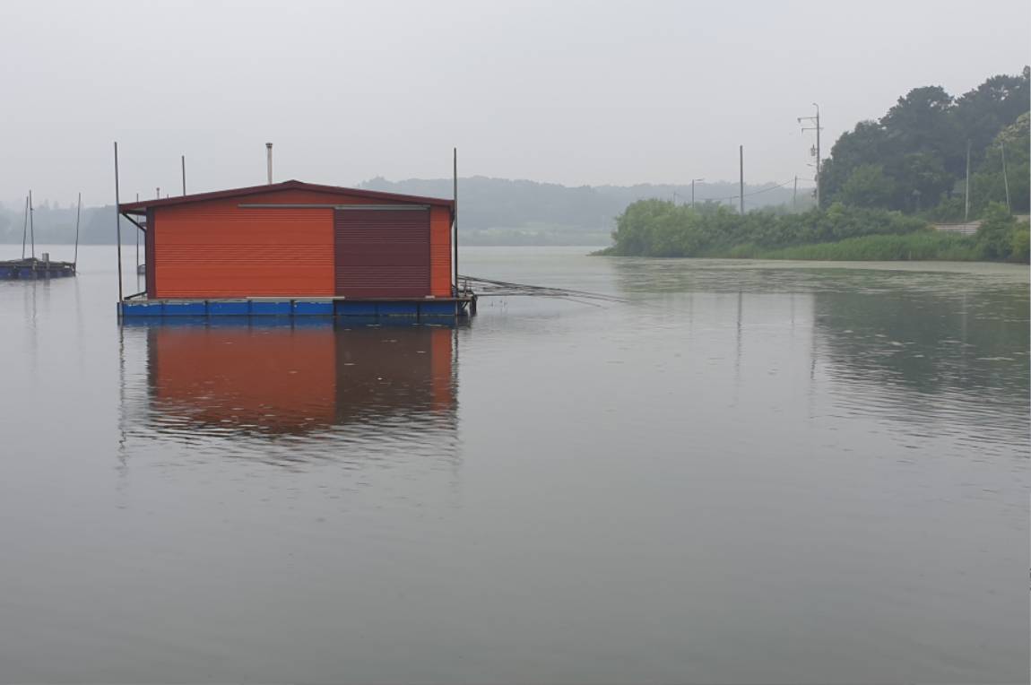 20240609_072312.jpg