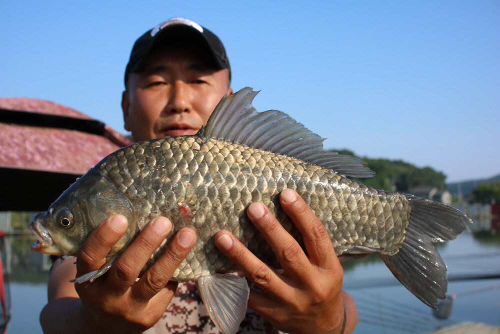 [크기변환]IMG_3827.JPG