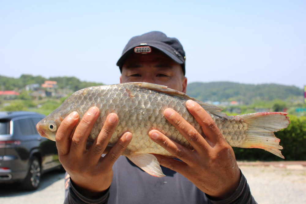 [크기변환]IMG_3800.JPG